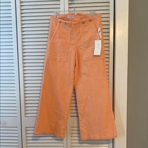 Anthropologie Buttoned cropped, wide leg pants. Pilcro by Anthropologie. Size 28